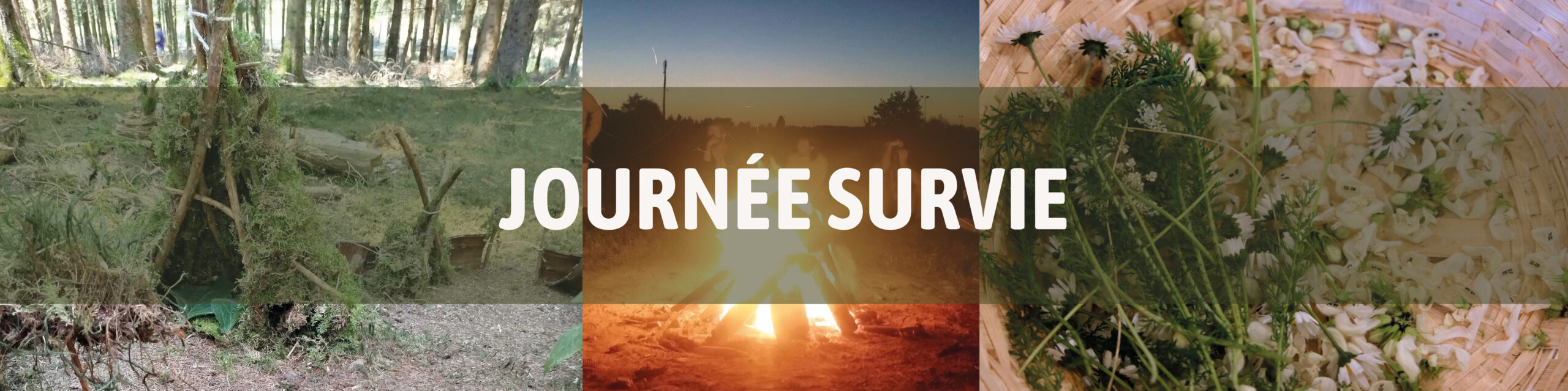 Télécharger la brochure sur nos formations courtes.