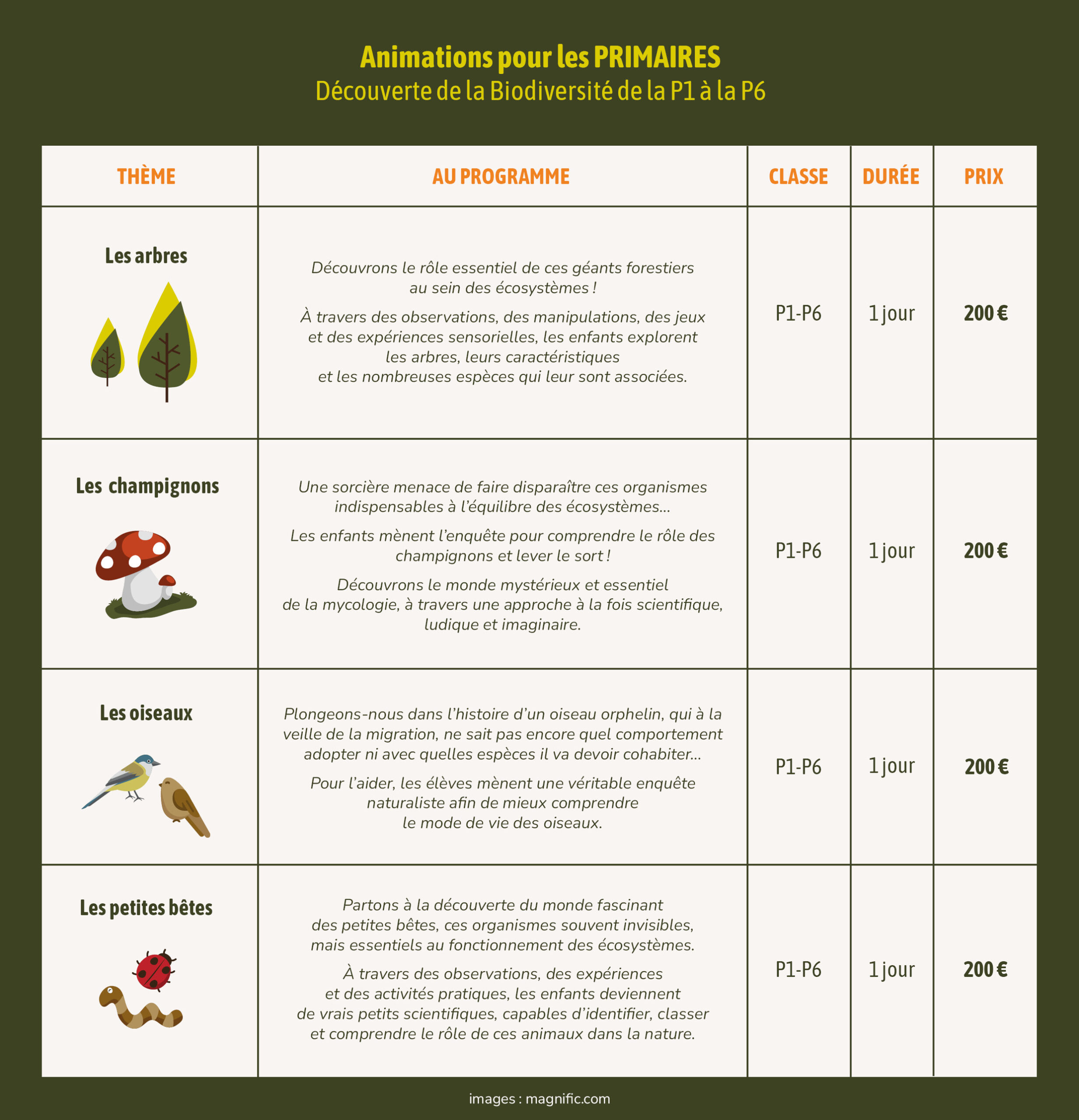 Primaire 2026